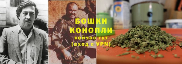 экстази Ельня