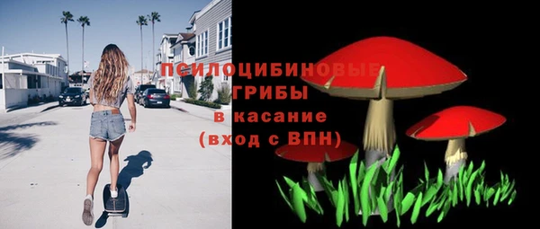 экстази Ельня