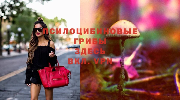 экстази Ельня