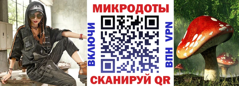 Галлюциногенные грибы GOLDEN TEACHER  OMG сайт  Перевоз 